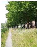 /storage/documents/83/images/img-108.jpeg