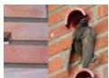 /storage/documents/83/images/img-48.jpeg